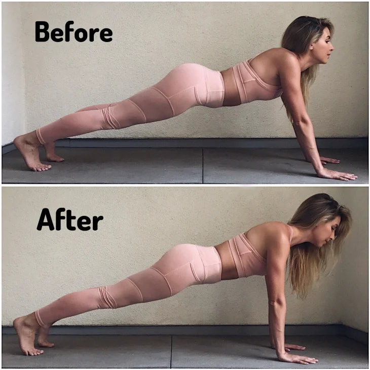 High Plank (Uttihita Chaturanga Dandasana)