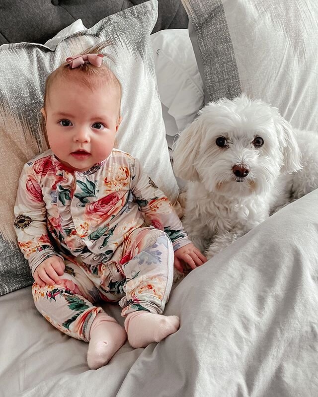 &ldquo;Did we just become best friends?!&rdquo; 🥺😭🥰❤️🥰💓 These are probably my favorite photos I&rsquo;ve ever posted: Brady &amp; Izzy finally becoming friends!! We hope you&rsquo;re having a great start to your week and I&rsquo;m sending you lo