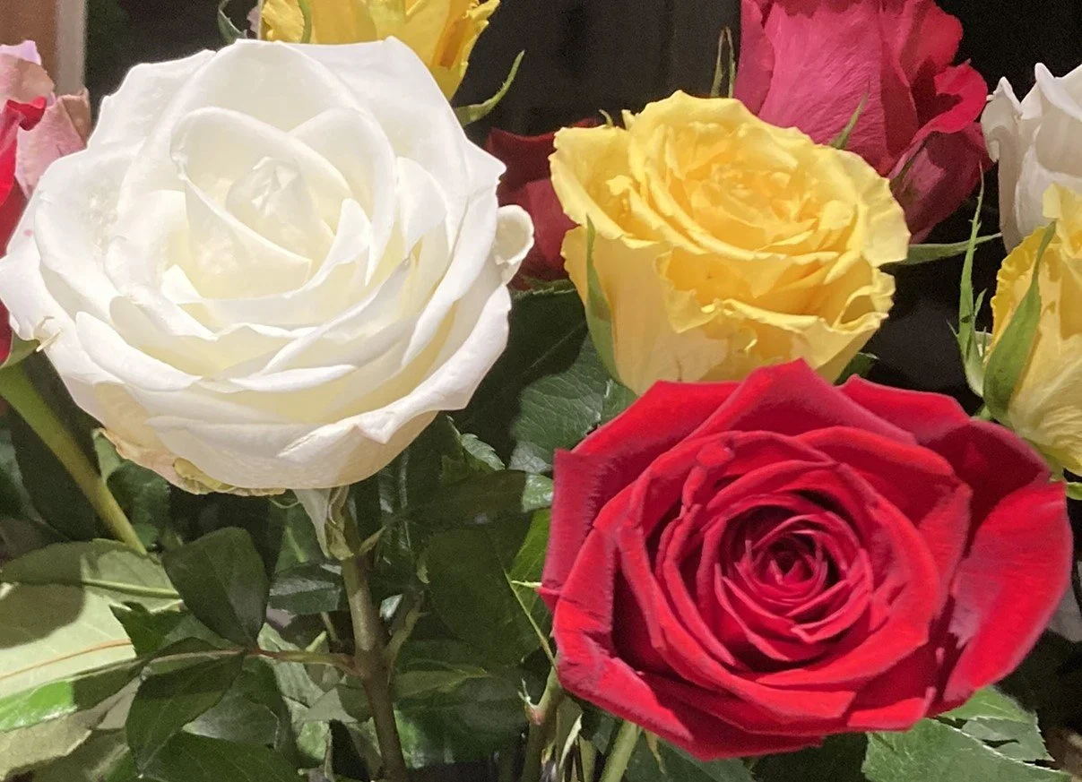 IMG_5347 editeed.jpeg