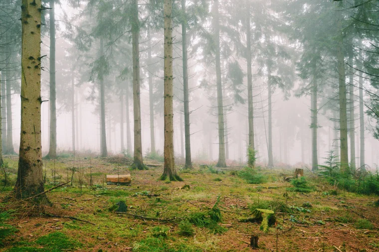 Photo by Scott Wiley, Creative Commons Attribution 2.0