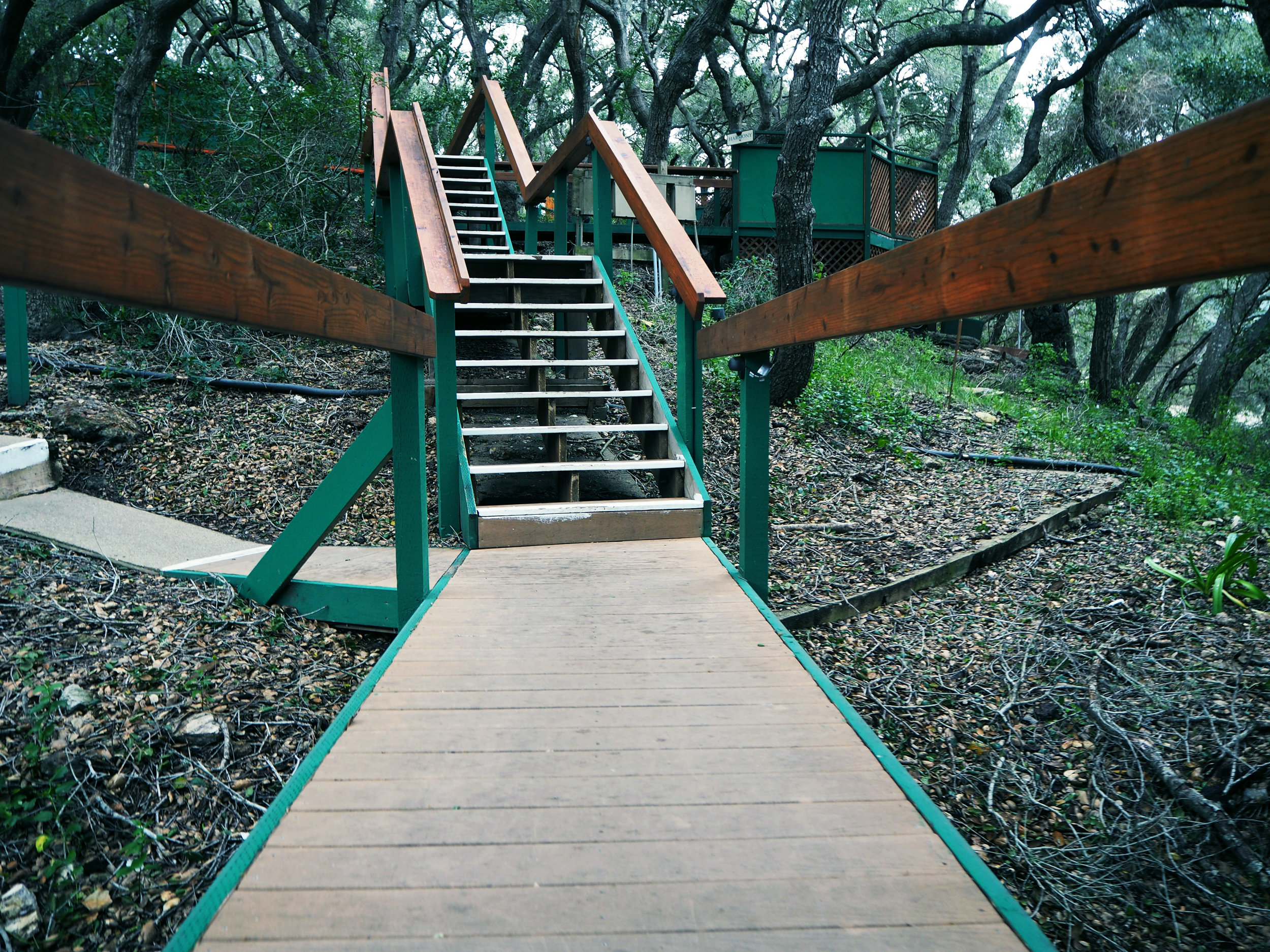  Sycamore Mineral Springs 