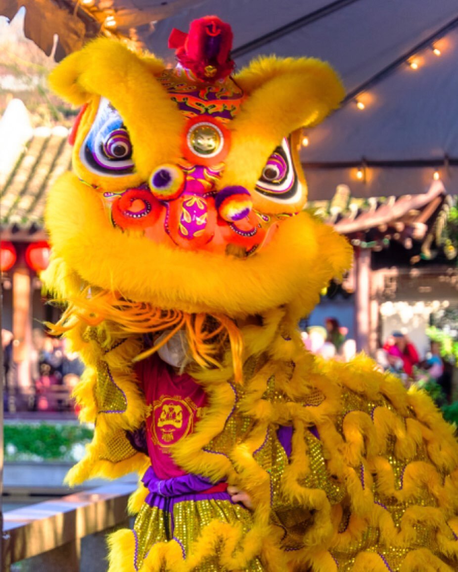 Happy Year of the Rabbit! 🐰Celebrating Lunar New Year @lansuchinesegarden