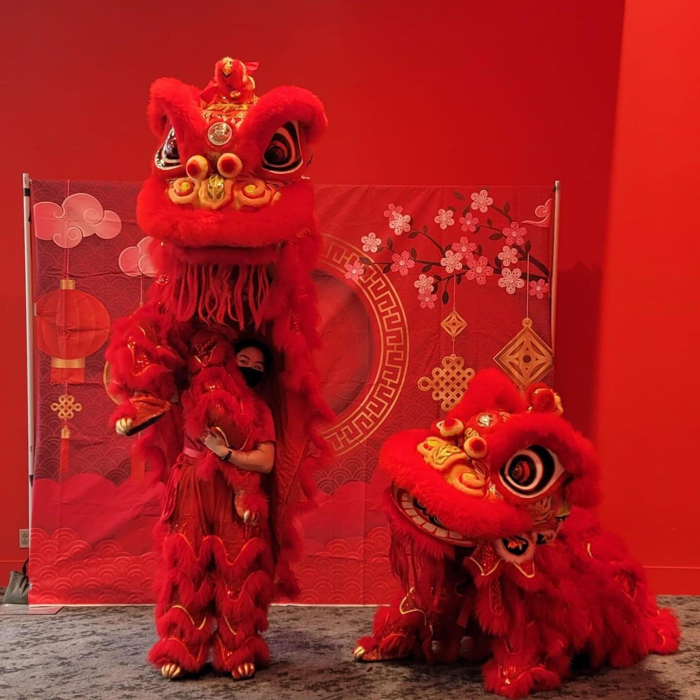 Happy Chinese New Year! Gung Hay Fat Choy! Sun nien fai lok!🧧