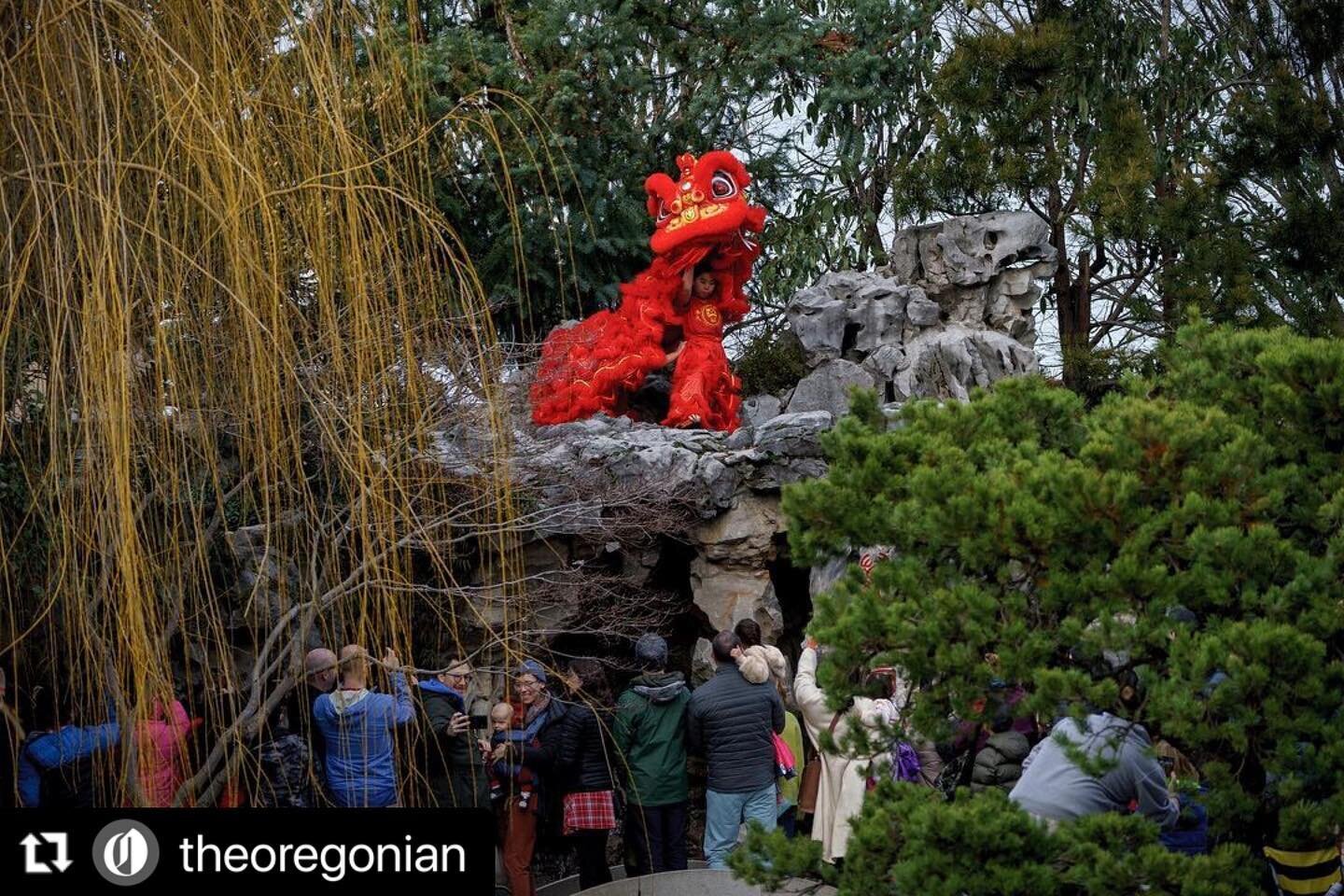 #Repost @theoregonian
・・・
At the entrance of Portland&rsquo;s Lan Su Chinese Garden, dancers clad in brightly colored lion costumes strutted, rolled and mingled with excited children Sunday. The lion dancers &mdash; four people in two costumes&mdash;