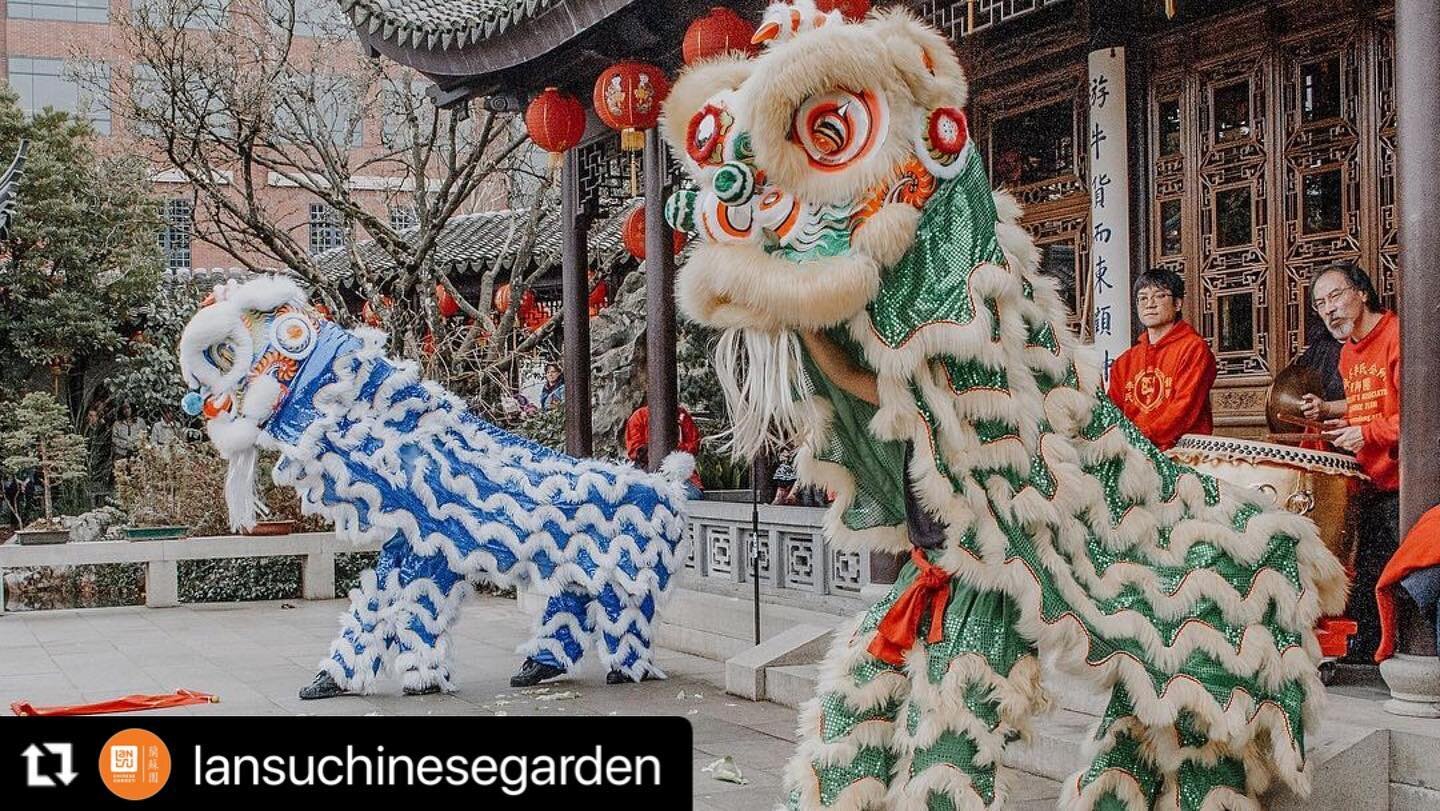 #Repost @lansuchinesegarden
・・・
This Thursday we&rsquo;re having a Lion Dance Workshop! 🦁 Come to the garden for exciting fun and a hands-on experience of traditional lion dance with Nick Lee of Portland Lee&rsquo;s Association Lion Dance Team! Don&