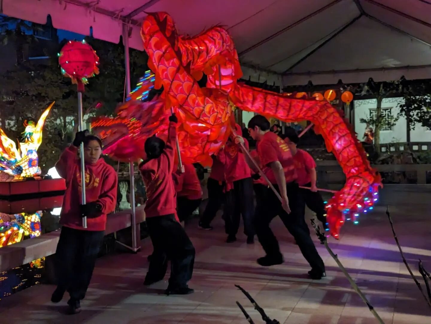 Celebrating the Year of the Dragon @lansuchinesegarden 🐉 🏮