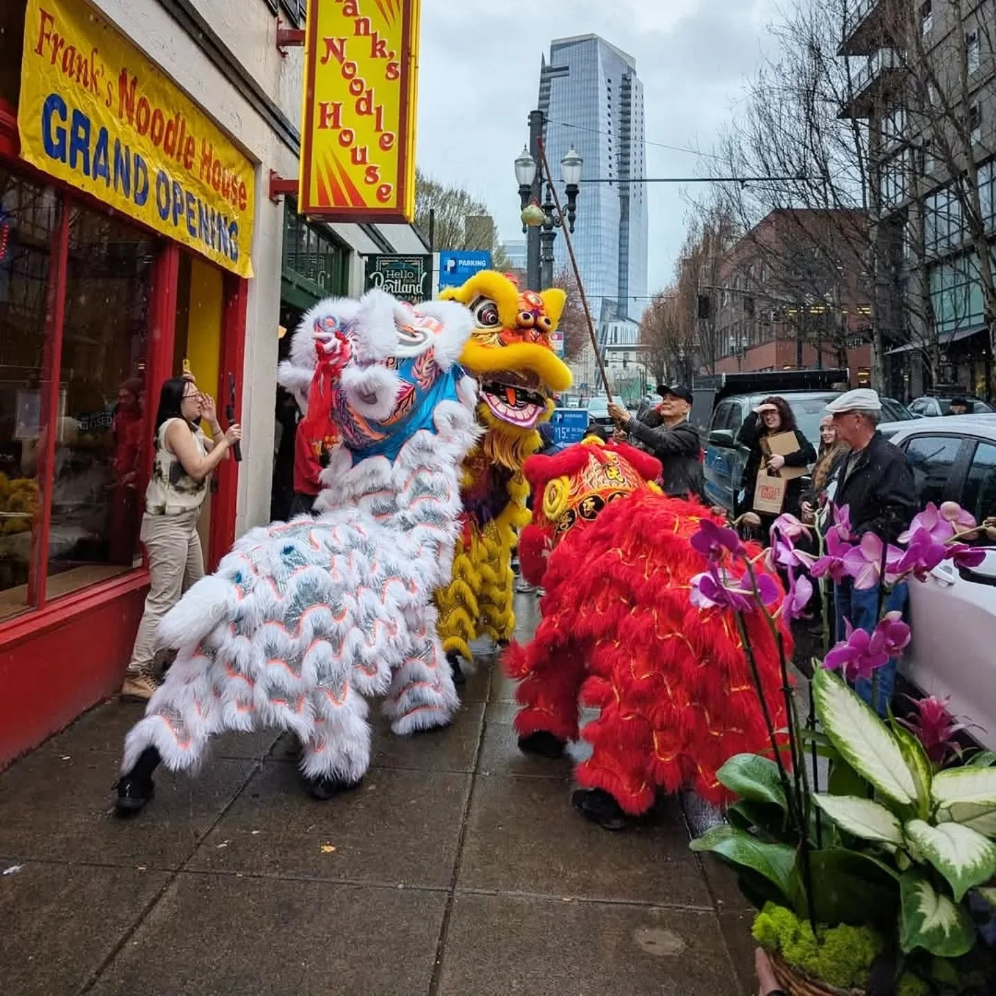 Frank's Noodle House Grand Opening