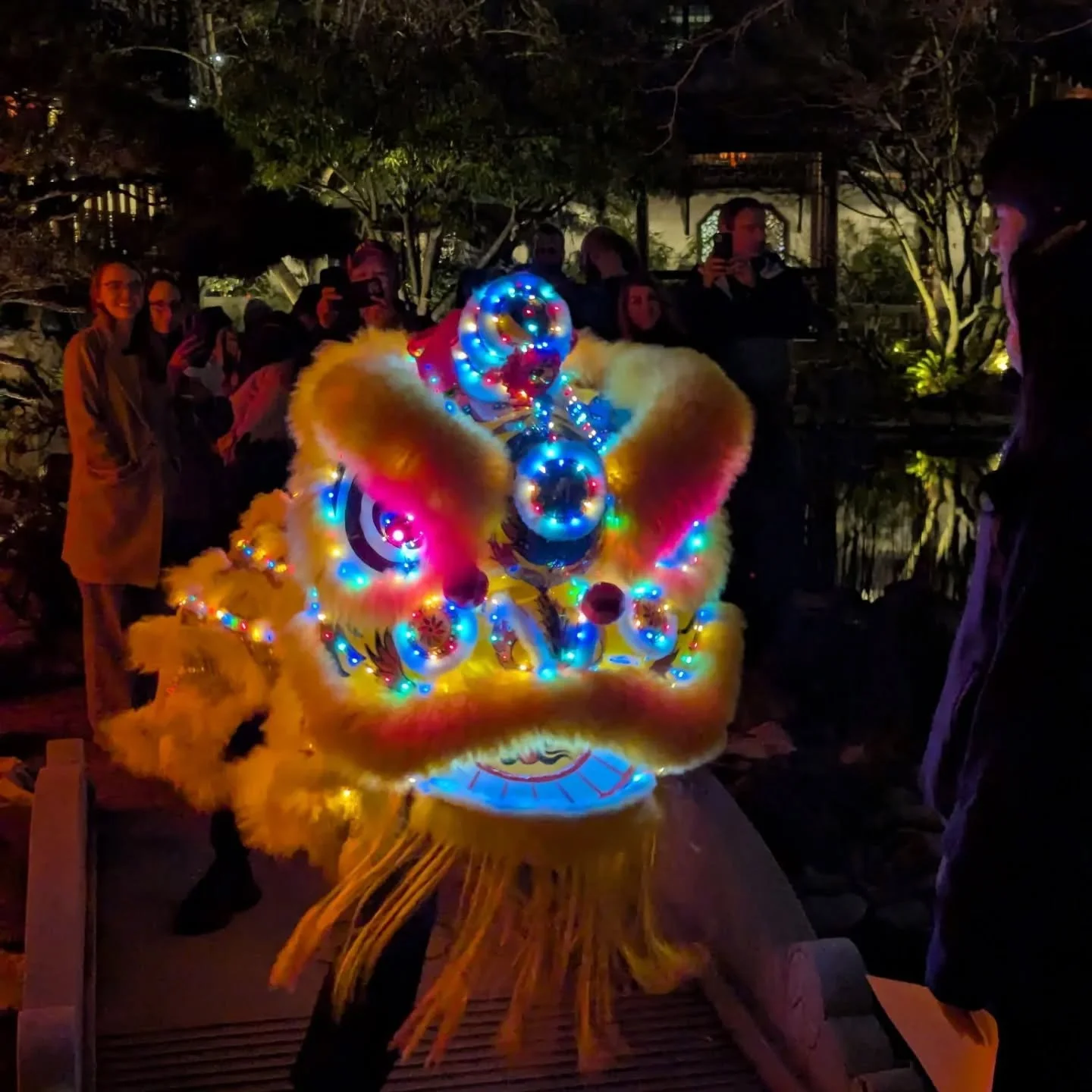 Celebrating Dongzhi (冬至, the Winter Solstice) at @lansuchinesegarden with an illuminated lion dance 🦁✨