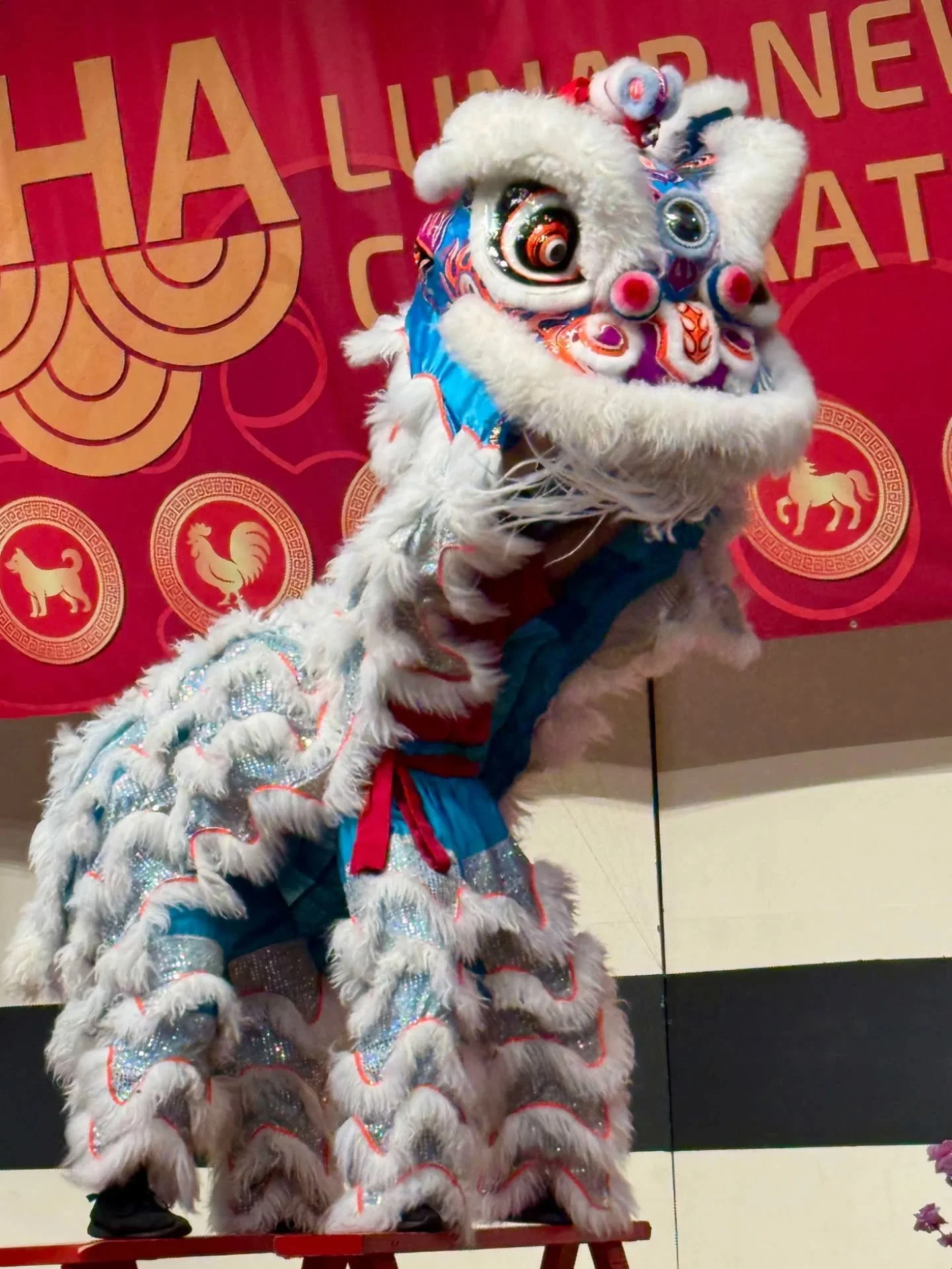 Celebrating Lunar New Year with @asianheritageassoc 🔥🐎🧧🥬