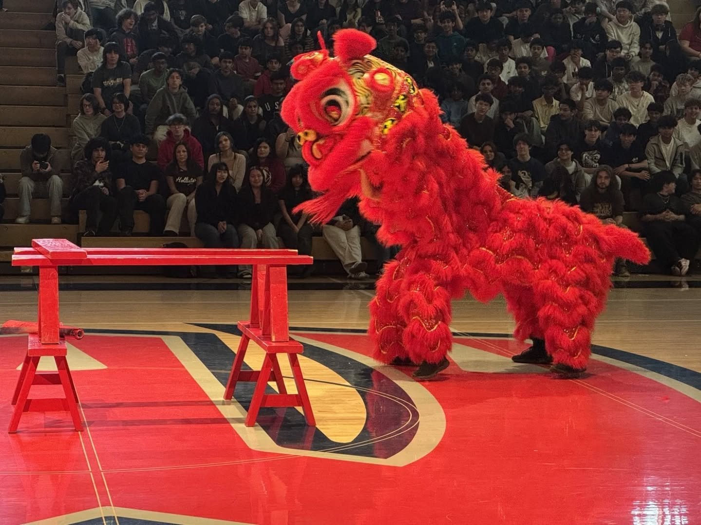 Continuing the tradition at @westview_cats