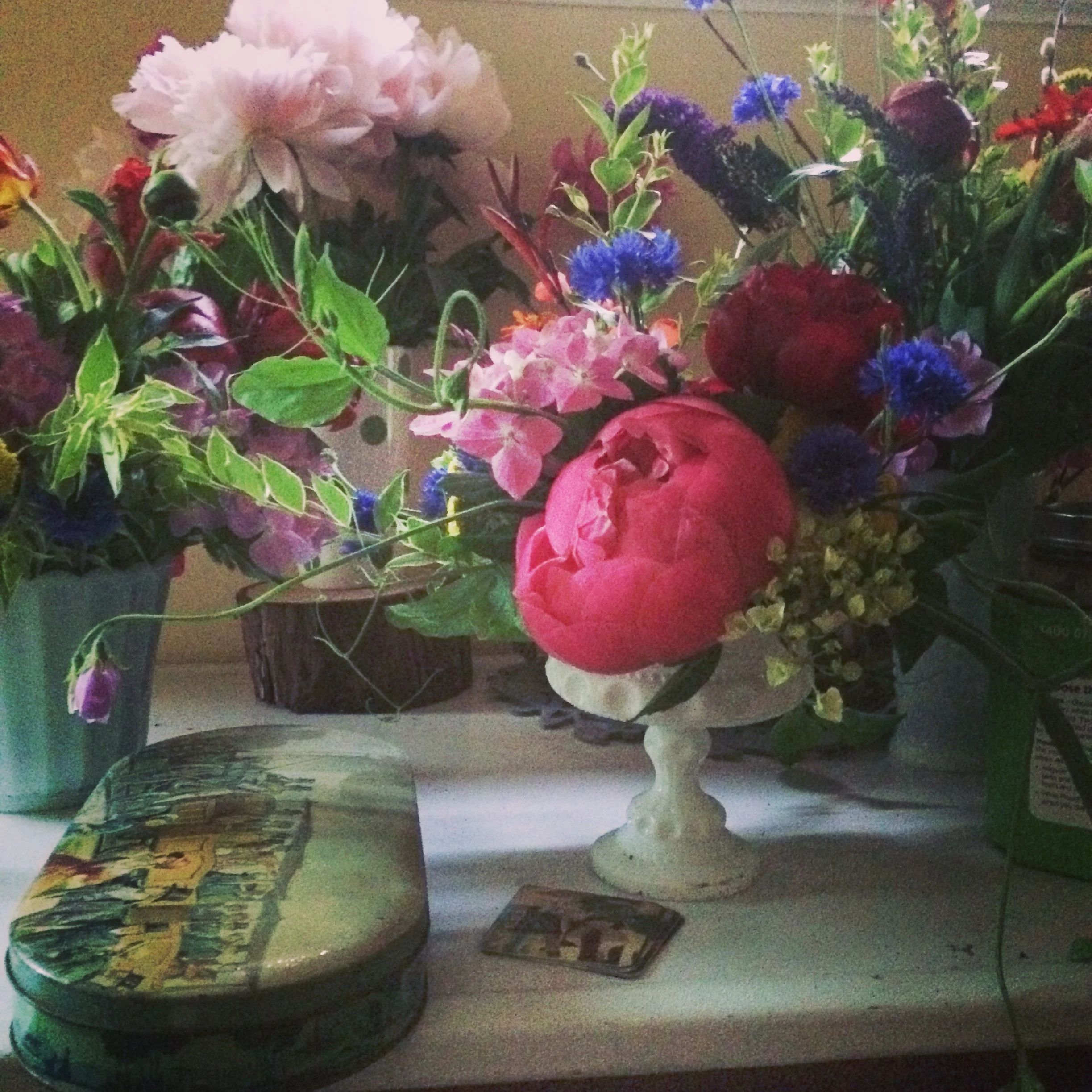 Land Park Garden Tour and Tea, fundraiser for Holy Spirit Parish School