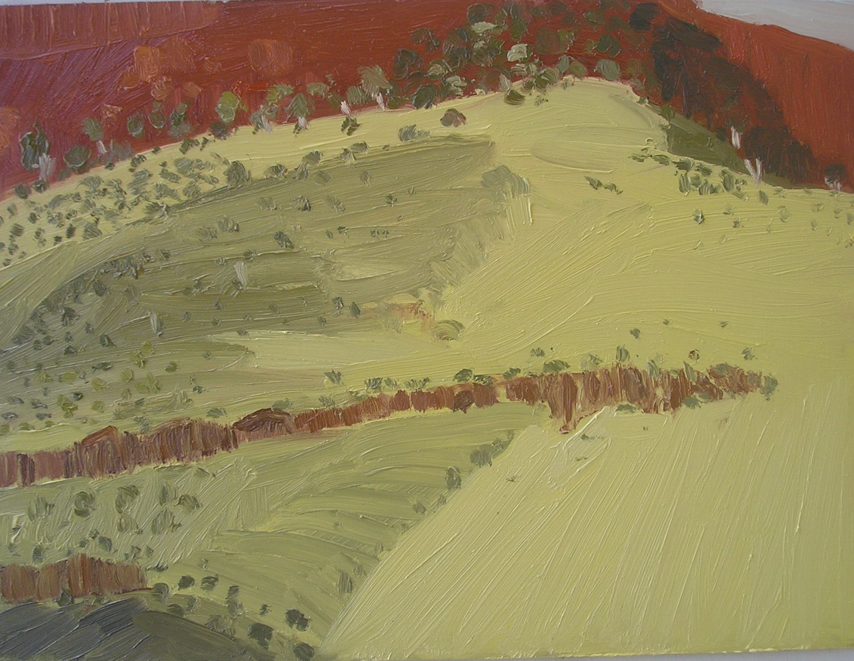 nameless cliffs and trees