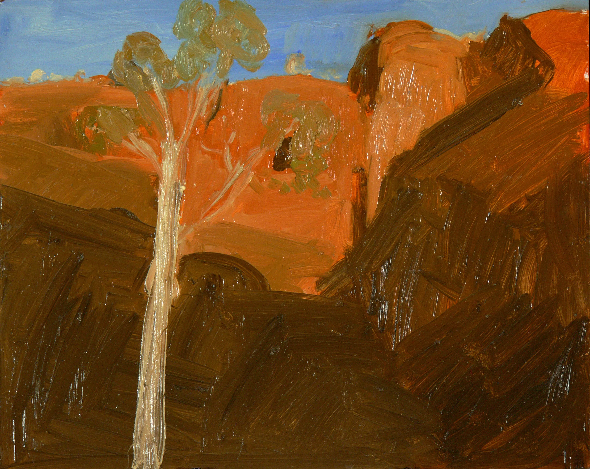 tree at n'dhala gorge