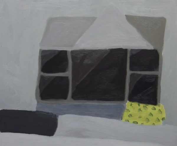 dark windows