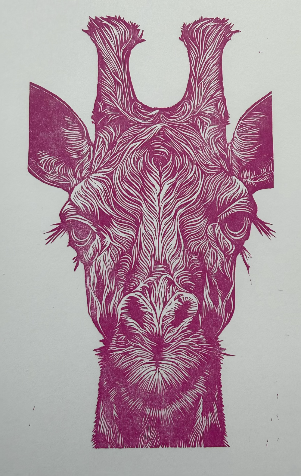 Giraffe_1000.png