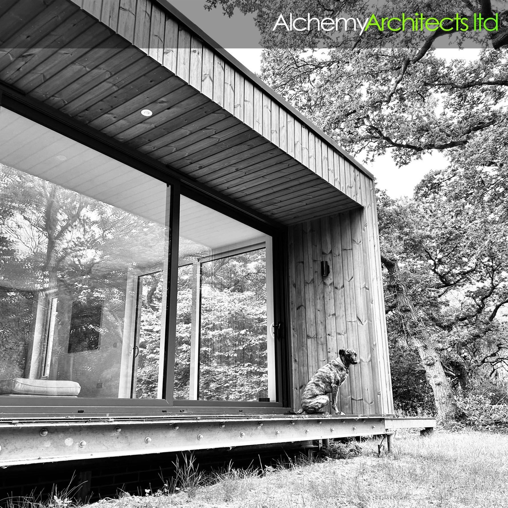 Timber pavilion deep in the woods