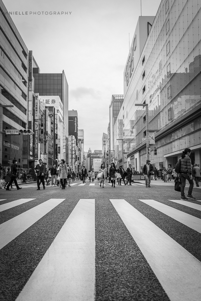 Danielle_Photography_SA15-Japan.jpg