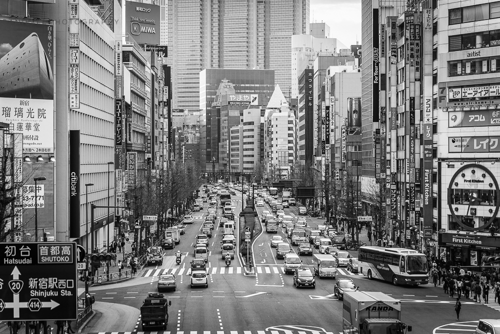 Danielle_Photography_SA14-Japan.jpg