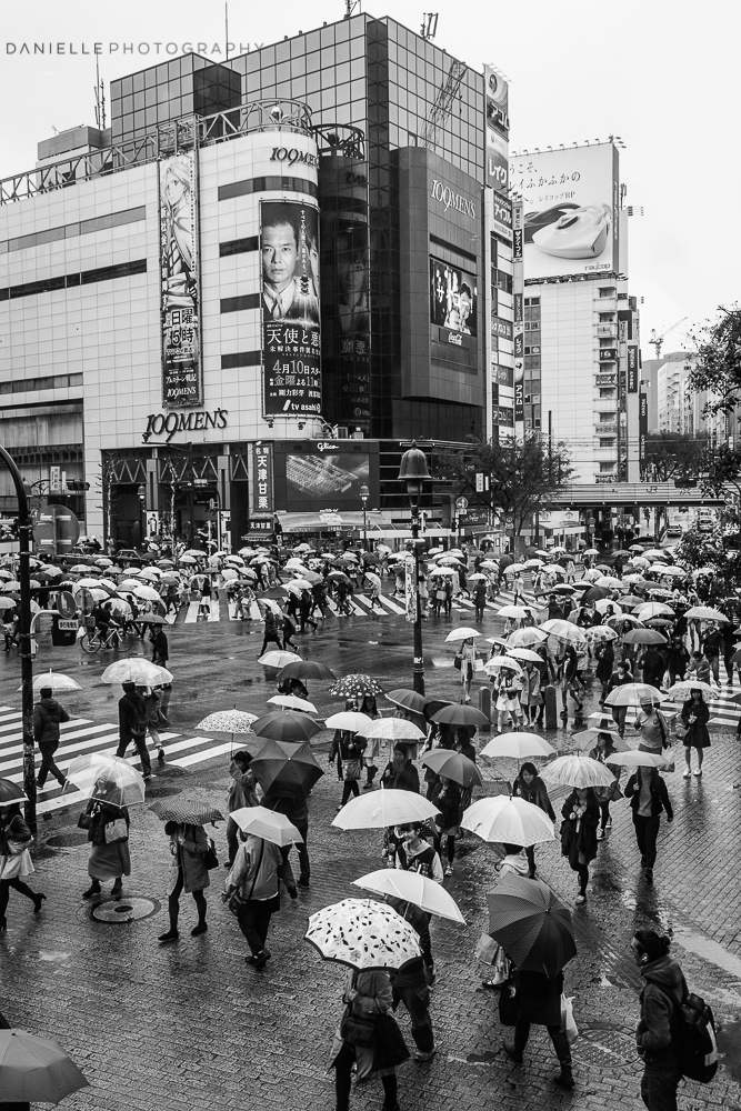 Danielle_Photography_SA16-Japan.jpg