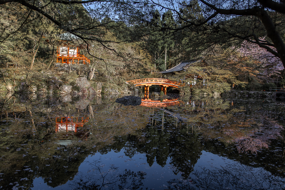 Danielle_Photography_SA29-Japan.jpg