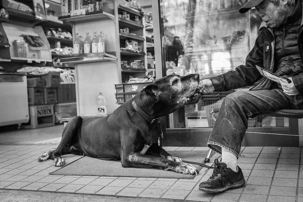 Danielle_Photography_SA31-Japan.jpg