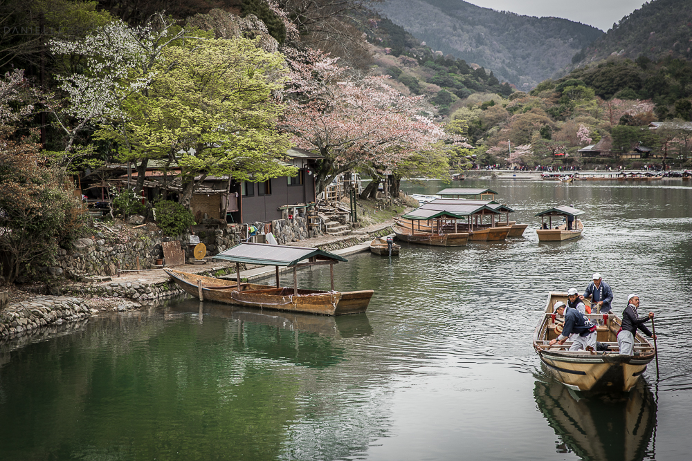 Danielle_Photography_SA36-Japan.jpg