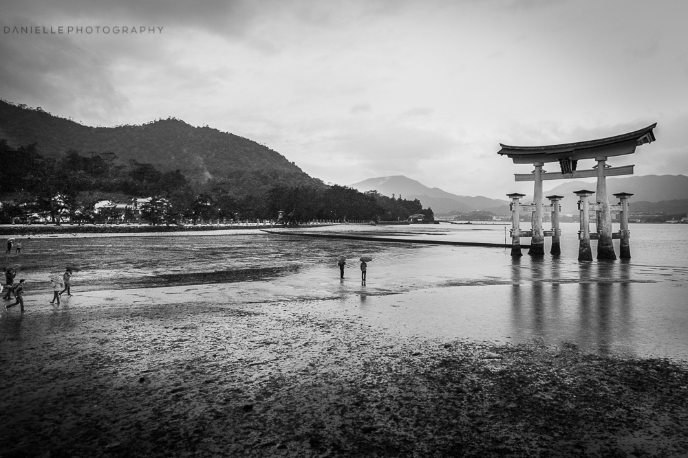 Danielle_Photography_SA40-Japan.jpg