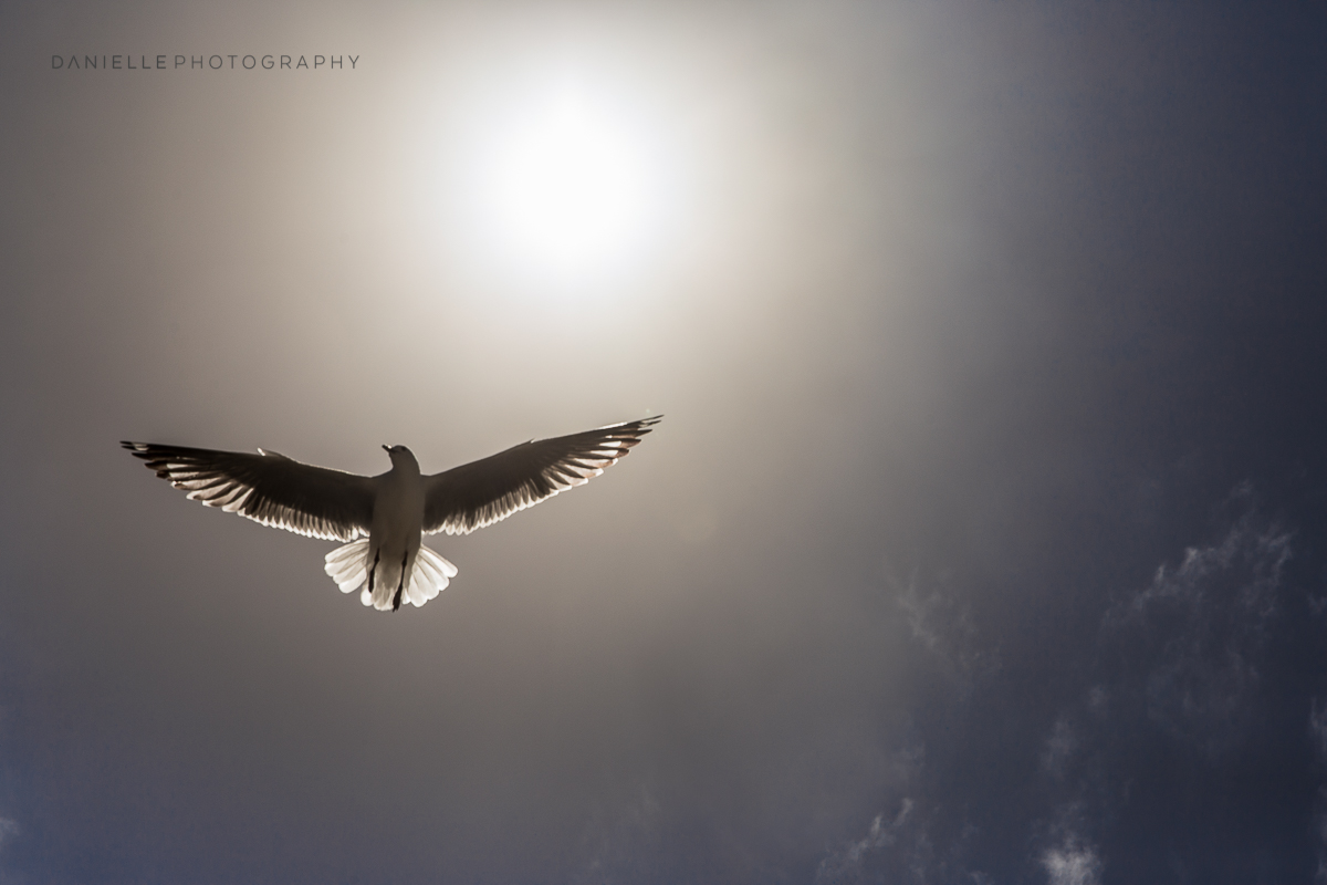 Danielle-Photography-SA-South-Africa10.jpg