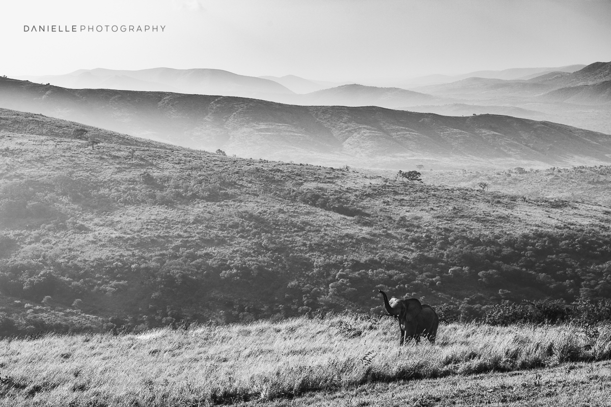 Danielle-Photography-SA-South-Africa18.jpg