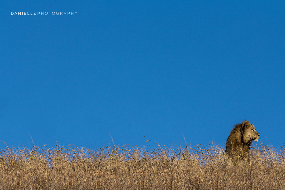 Danielle-Photography-SA-South-Africa19.jpg