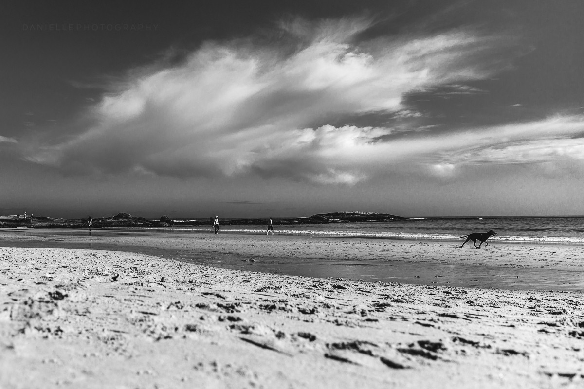 Danielle-Photography-SA-South-Africa20.jpg