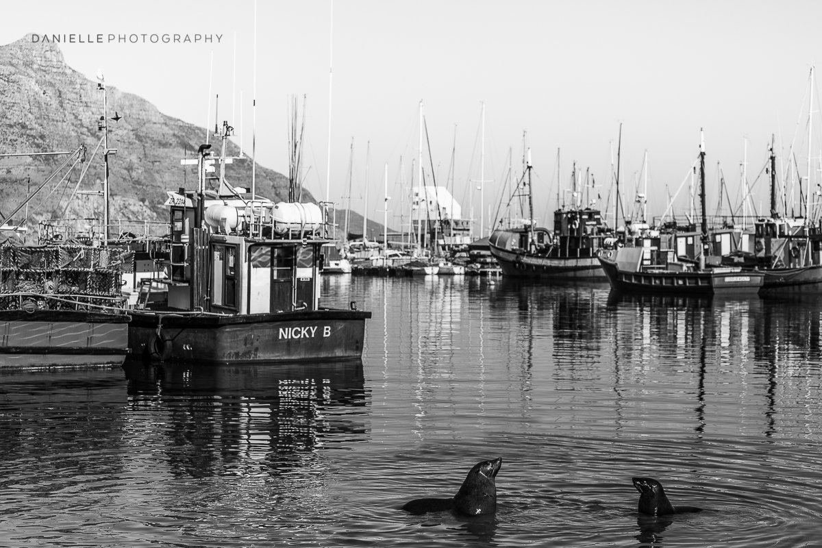 Danielle-Photography-SA-South-Africa21.jpg