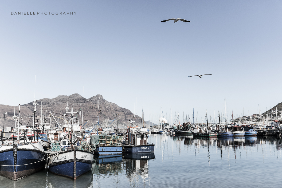 Danielle-Photography-SA-South-Africa22.jpg