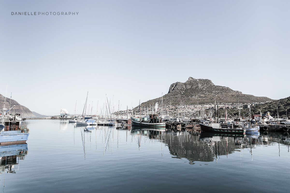 Danielle-Photography-SA-South-Africa23.jpg