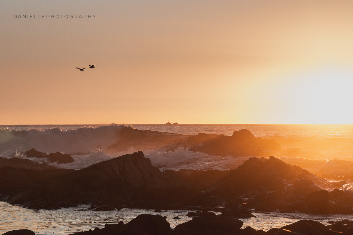 Danielle-Photography-SA-South-Africa28.jpg