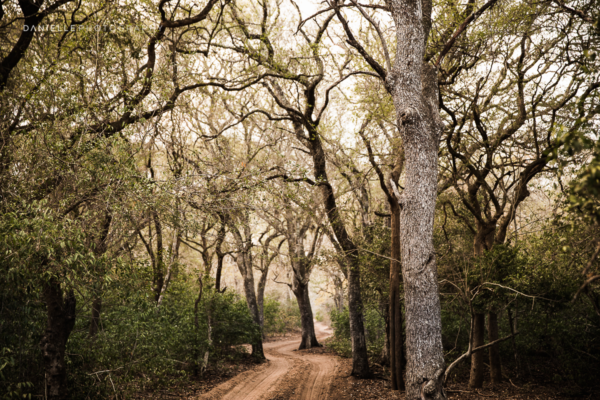Danielle-Photography-SA-South-Africa27.jpg