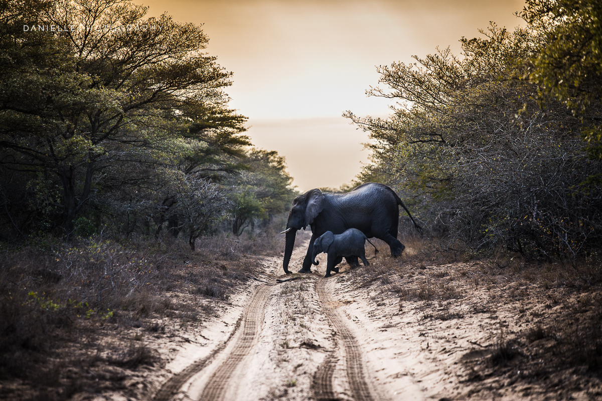 Danielle-Photography-SA-South-Africa29.jpg