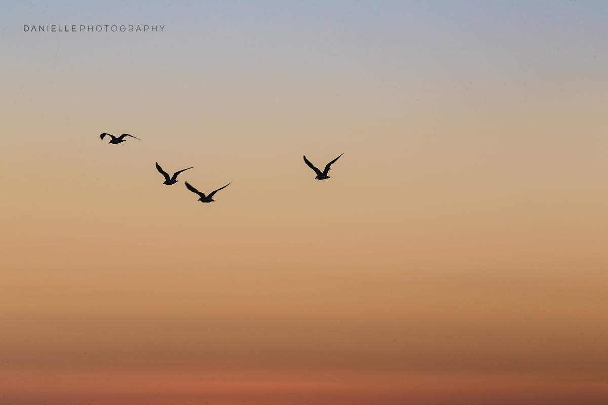 Danielle-Photography-SA-South-Africa31.jpg