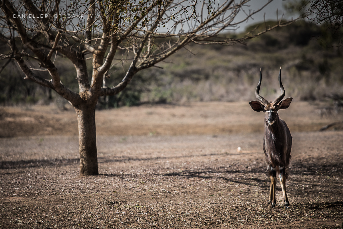 Danielle-Photography-SA-South-Africa34.jpg