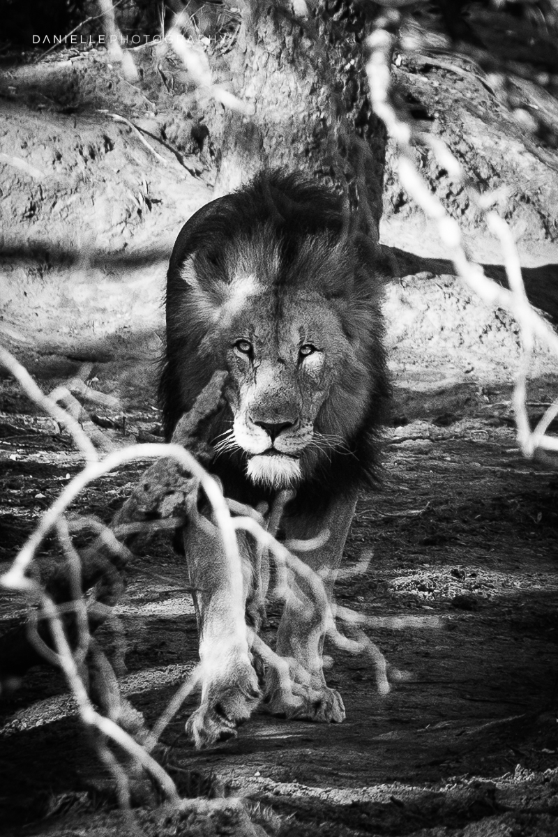 Danielle-Photography-SA-South-Africa36.jpg