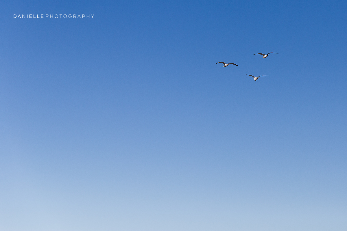 Danielle-Photography-SA-South-Africa37.jpg