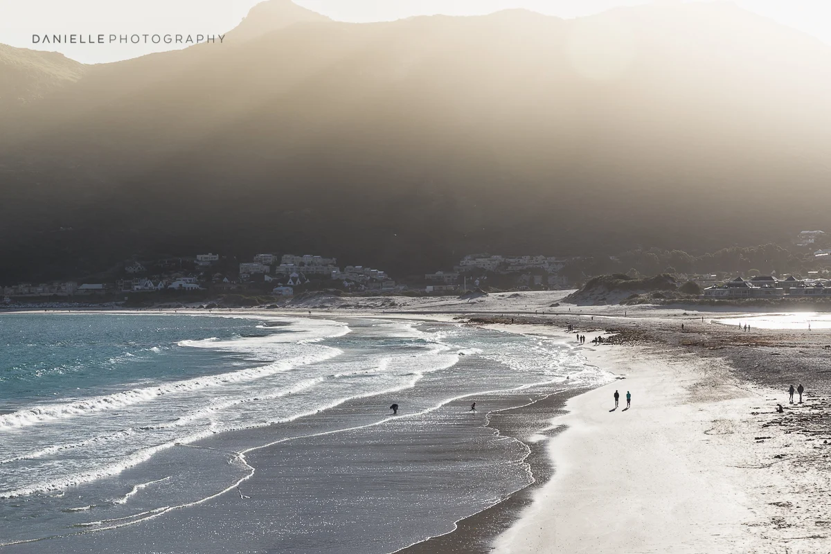 Danielle-Photography-SA-South-Africa47.jpg