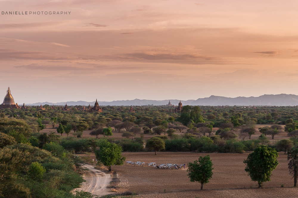 Danielle_Photography_SA71-Myanmar.jpg
