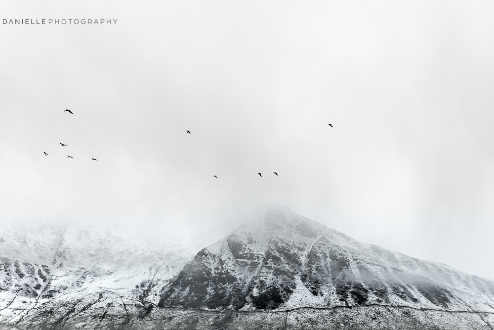 Danielle_Photography_SA124-New-Zealand.jpg