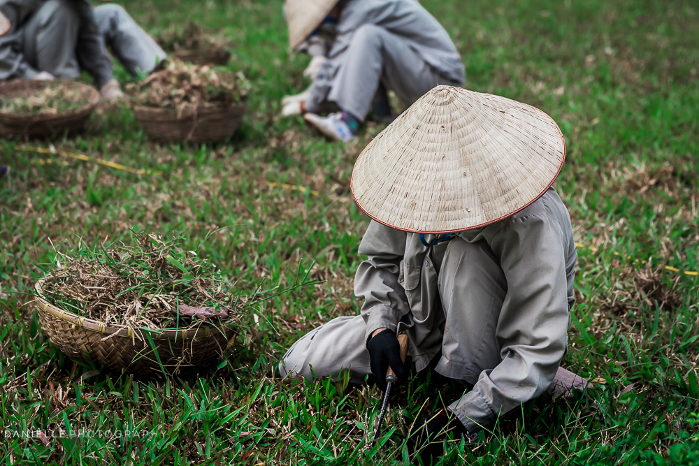 Danielle_Photography_SA73-Vietnam.jpg