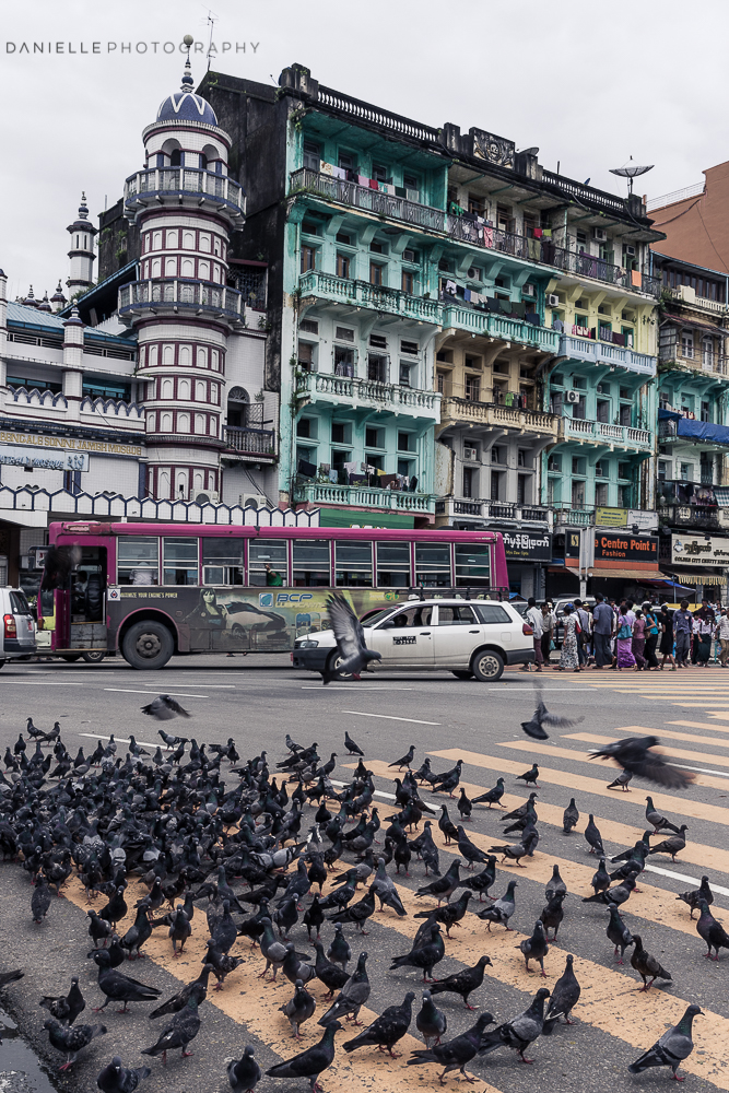 Danielle_Photography_SA74-Vietnam.jpg