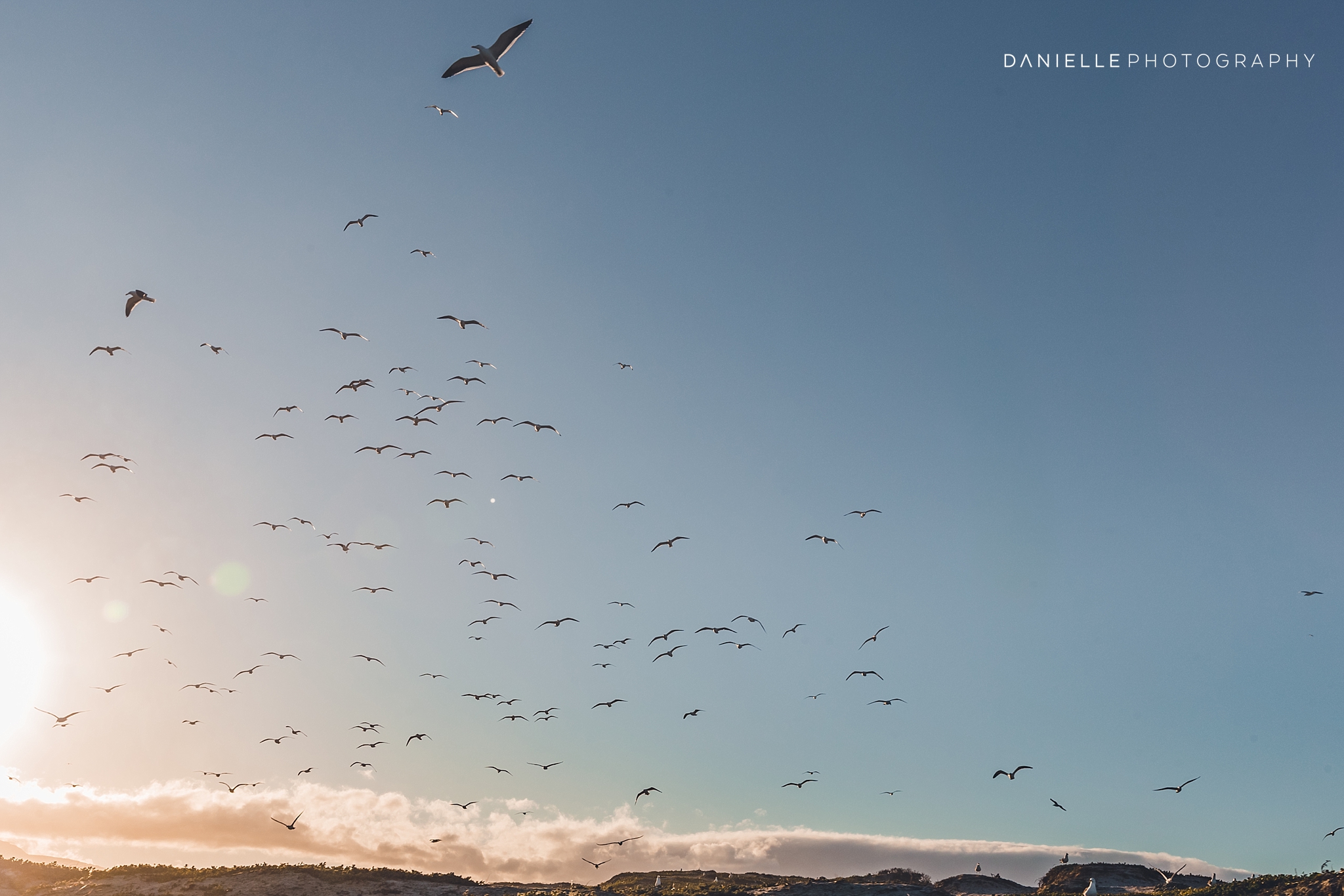 @DaniellePhotographySA_SOUTH AFRICA99.jpg