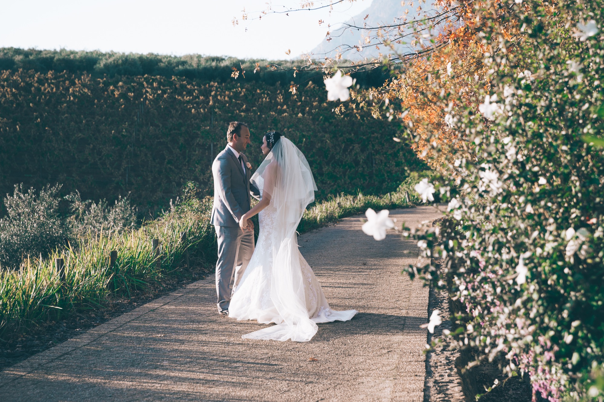 @DaniellePhotographySA_Wedding_Tokara_Laura&Daniel-41.jpg