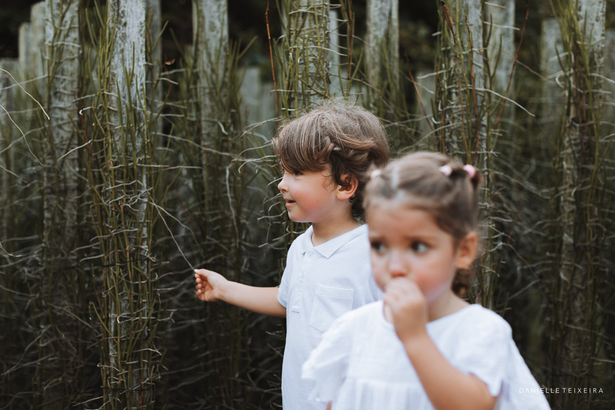 @DanielleTeixeira_Family_Photos_Botanic_Gardens_Zoe99.jpg