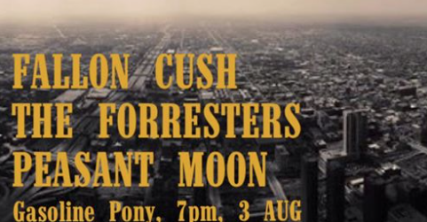 The Forresters will be playing a set next Wednesday the 3rd with fellow alt country popsters Fallon Cush and Peasant Moon at the Gasoline Pony bar in Marrickville.